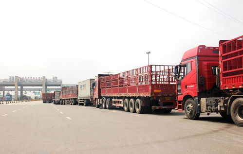 貨運行業(yè)新動向 兩會提案聚焦高速免費與多證合一，助力道路貨物運輸代理發(fā)展